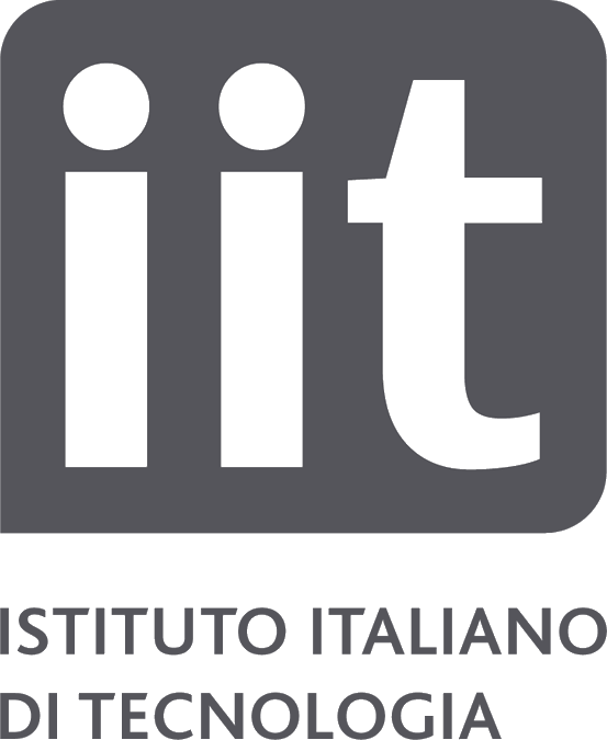 IIT